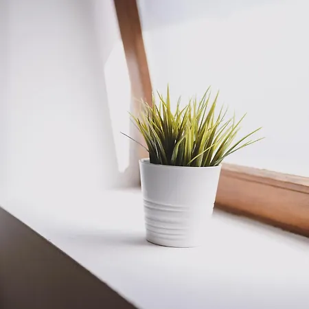 Naila By We Rent * Fusch an der Glocknerstraße