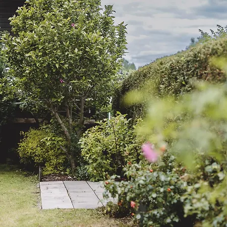 Alpehytte Naila By We Rent